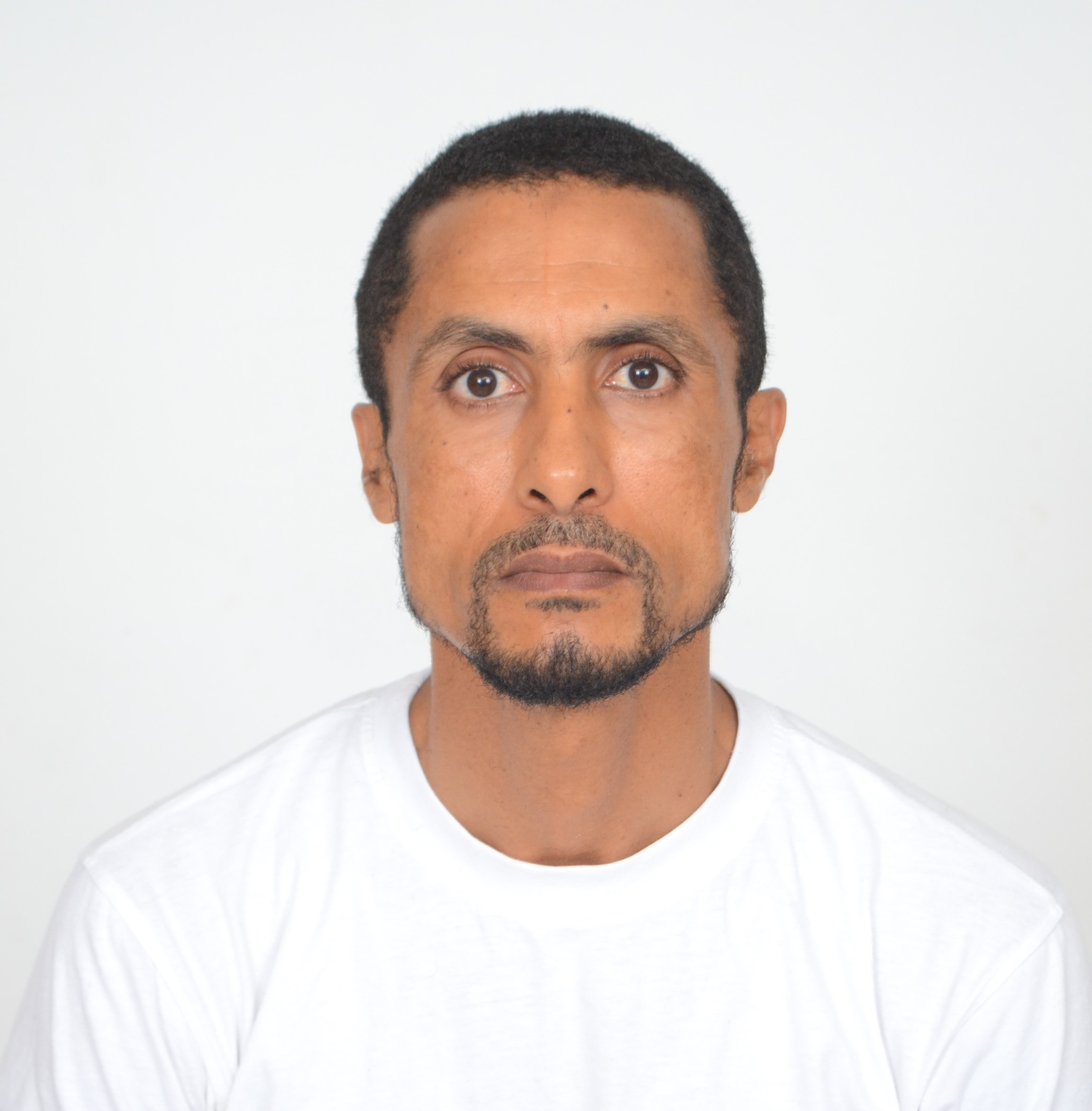 Portrait professionnel de Nourredine Najdi